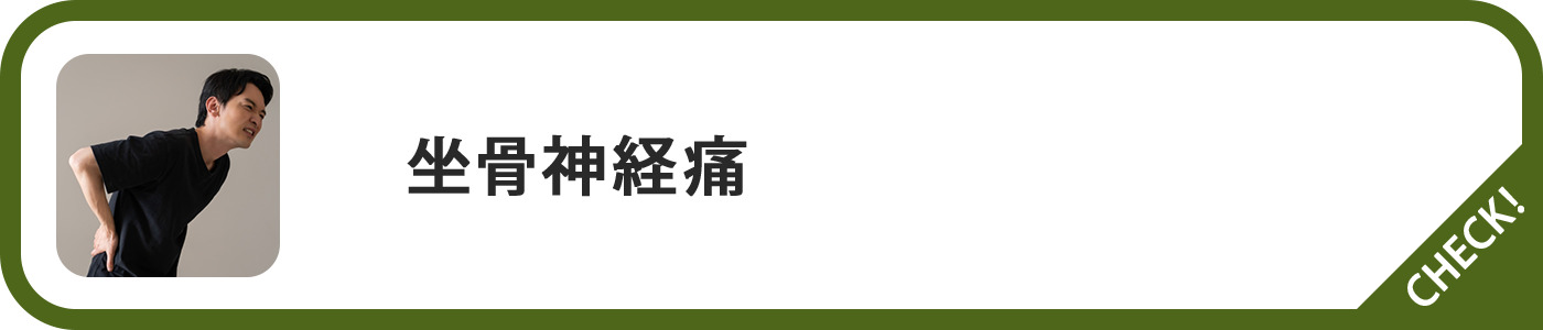 坐骨神経痛ページボタン
