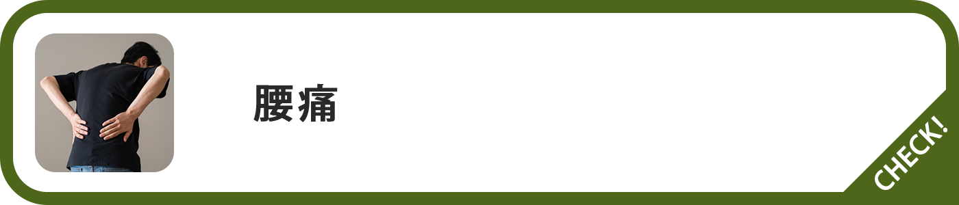 腰痛ページボタン